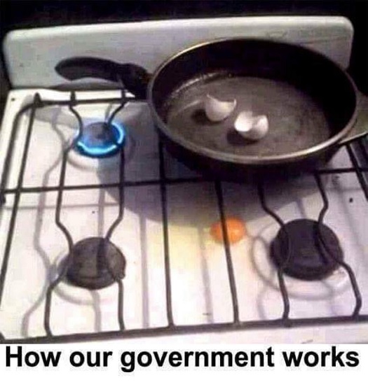 how our government works.jpg